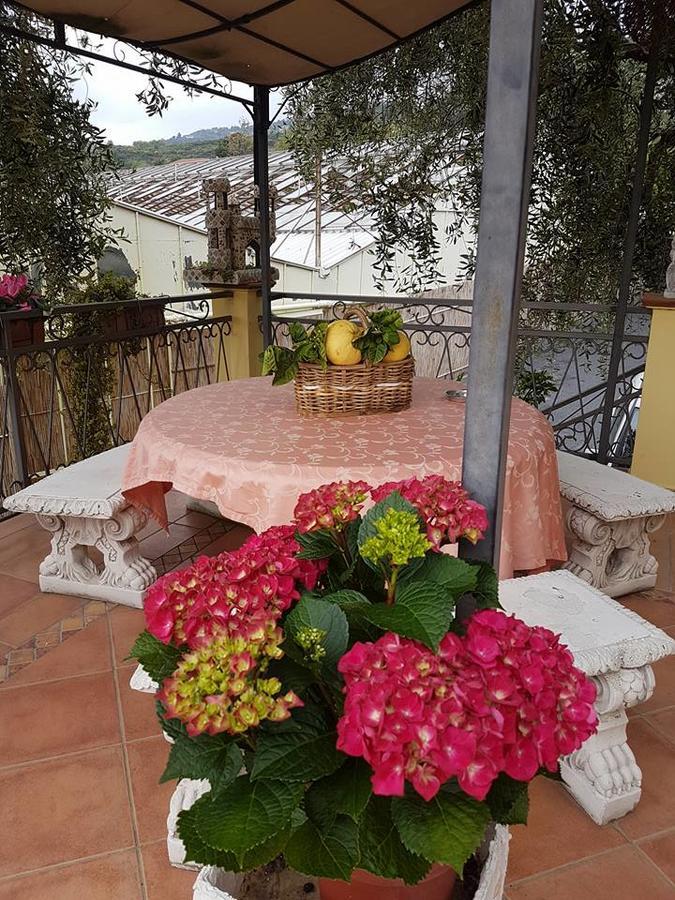 Agriturismo Al Nido Degli Aironi Sanremo Exteriör bild