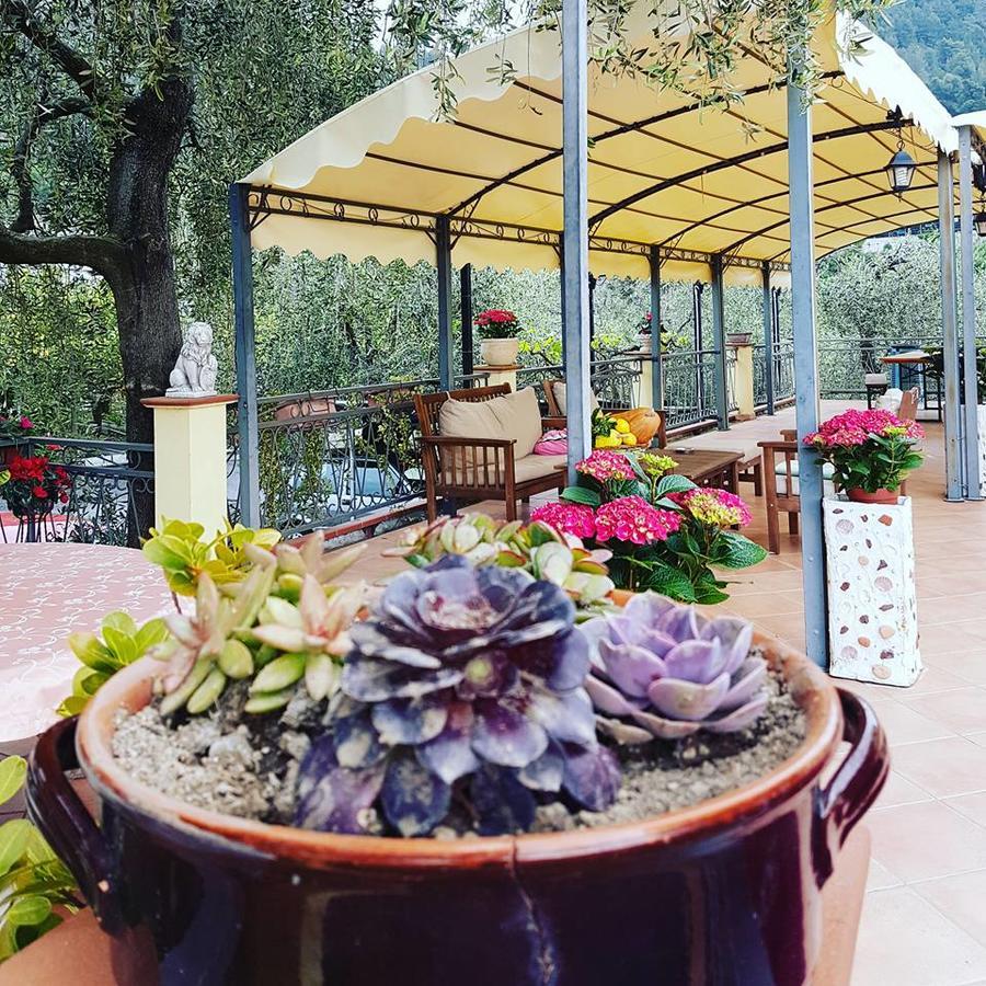 Agriturismo Al Nido Degli Aironi Sanremo Exteriör bild