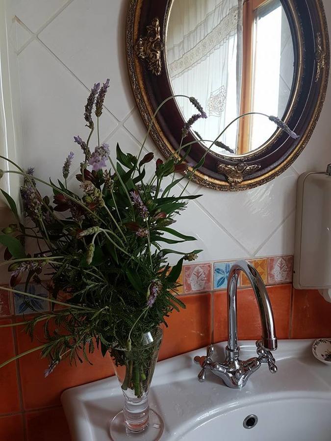 Agriturismo Al Nido Degli Aironi Sanremo Exteriör bild