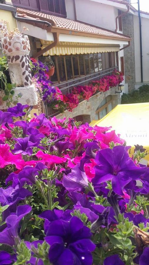 Agriturismo Al Nido Degli Aironi Sanremo Exteriör bild